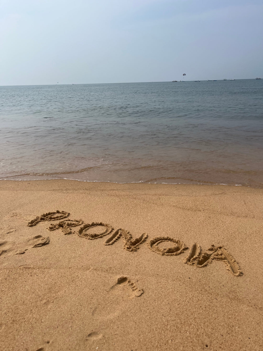 The Pronoia Manifesto: A Conspiracy of Beauty