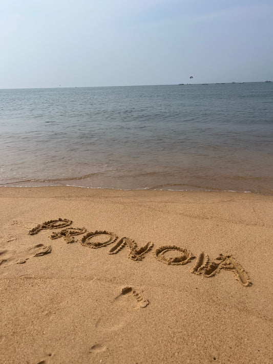 The Pronoia Manifesto: A Conspiracy of Beauty